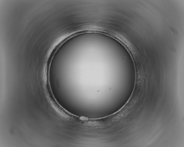 X0000110721128200906191500