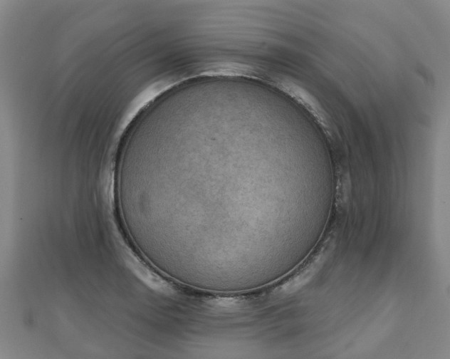 X0000110721130200906191500