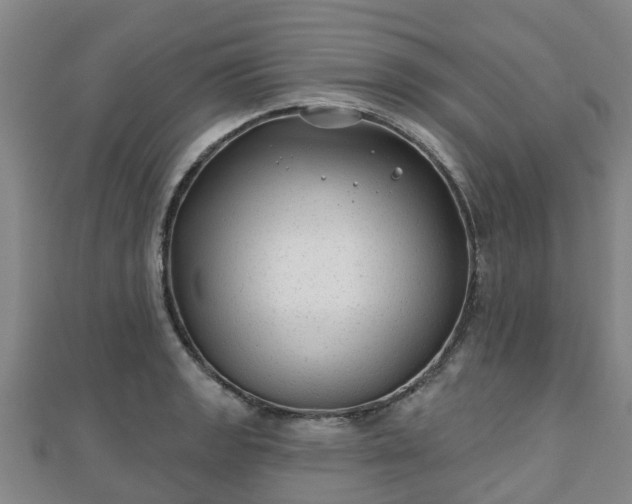X0000110721133200906191500