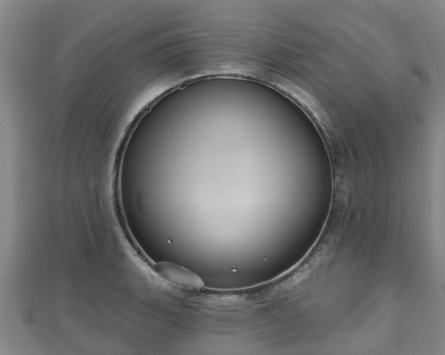 X0000110721135200906191500