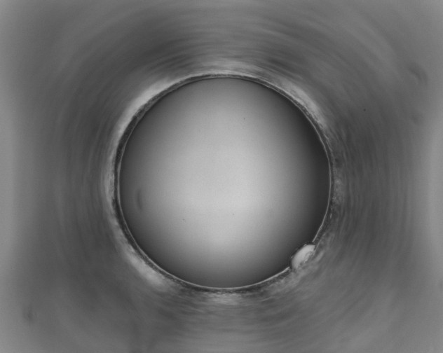 X0000110721136200906191500