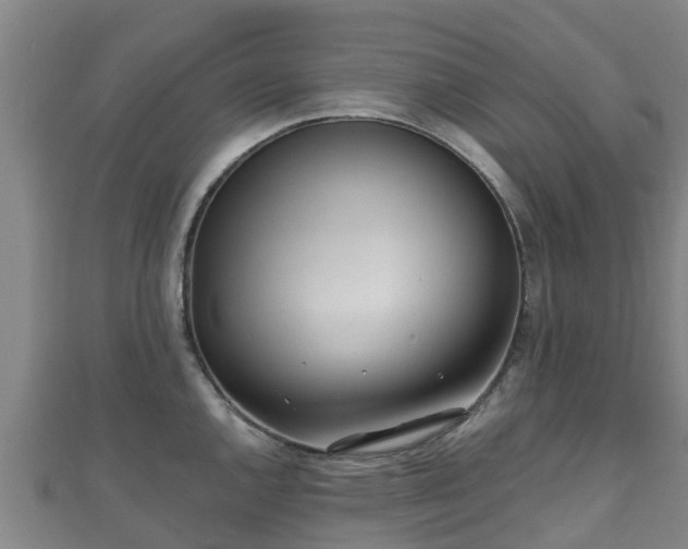 X0000110721144200906191500