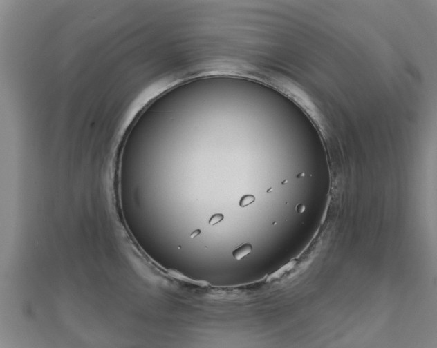 X0000110721146200906191500
