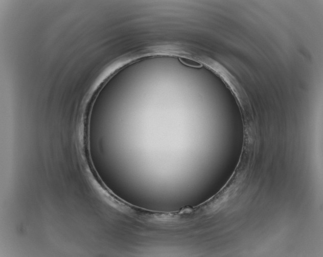 X0000110721147200906191500