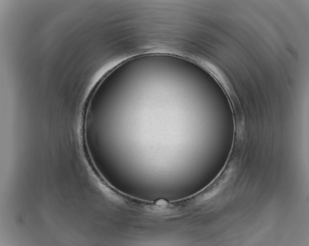 X0000110721149200906191500