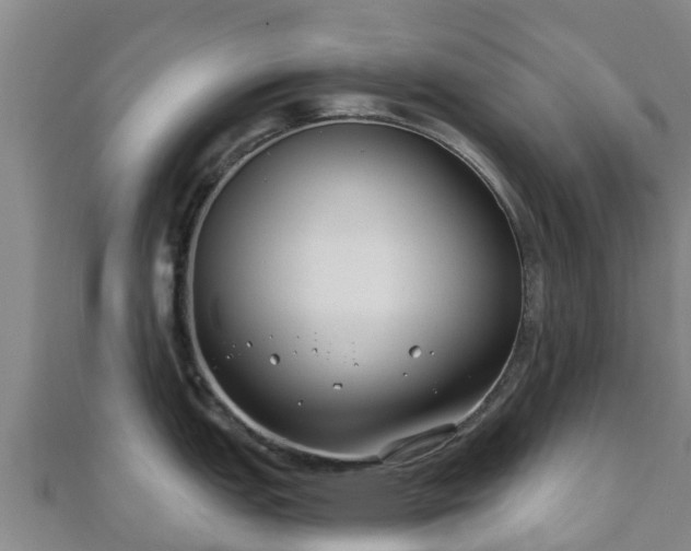 X0000110721151200906191500