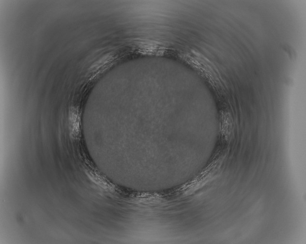 X0000110721154200906191500