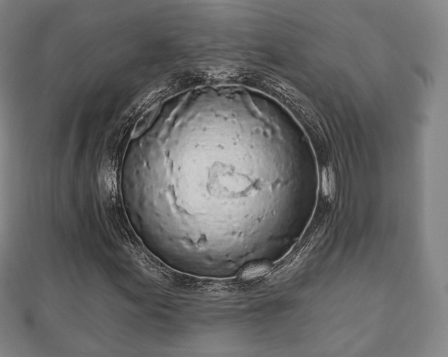X0000110721155200906191500