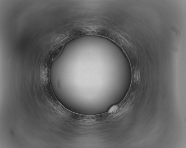 X0000110721156200906191500