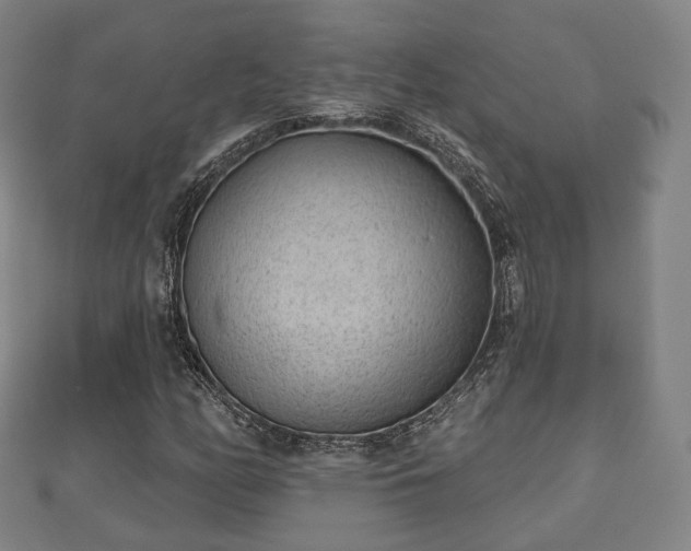 X0000110721158200906191500
