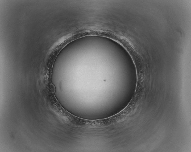 X0000110721159200906191500
