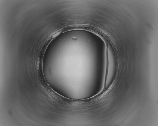 X0000110721161200906191500