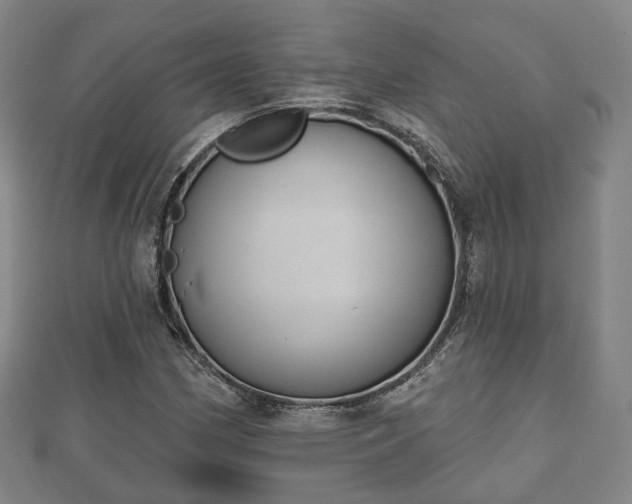 X0000110721162200906191500