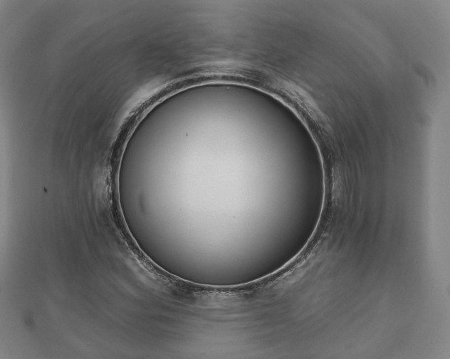 X0000110721164200906191500