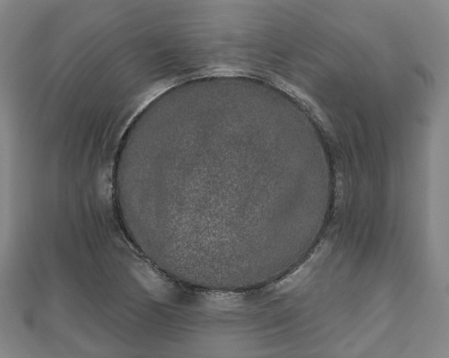 X0000110721170200906191500