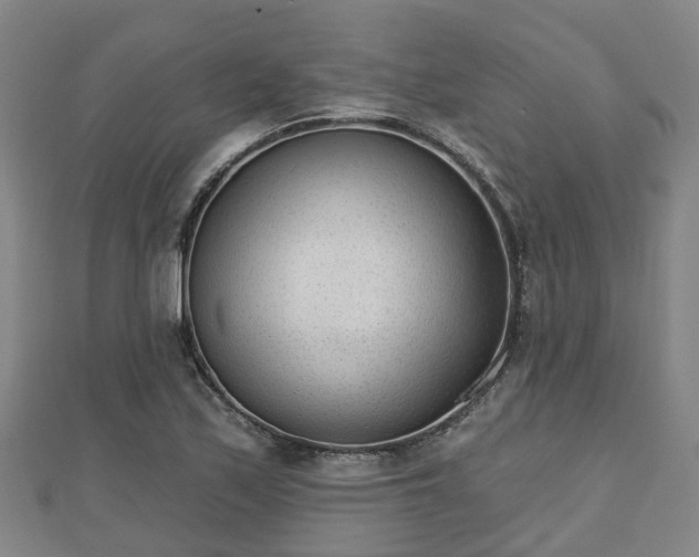 X0000110721171200906191500