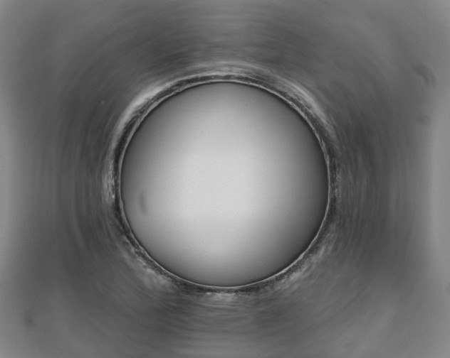 X0000110721172200906191500
