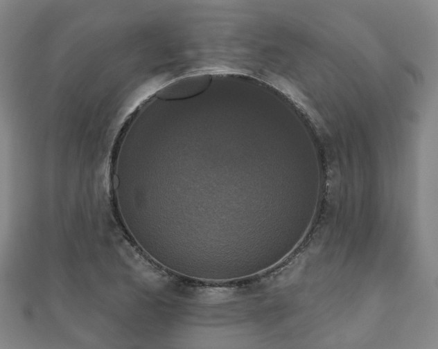 X0000110721173200906191500