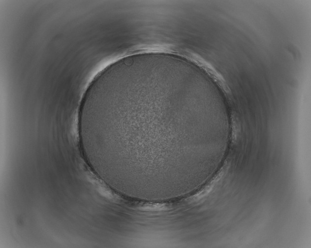 X0000110721174200906191500