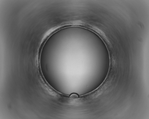 X0000110721176200906191500