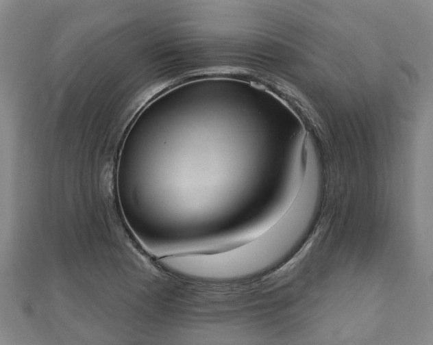 X0000110721177200906191500