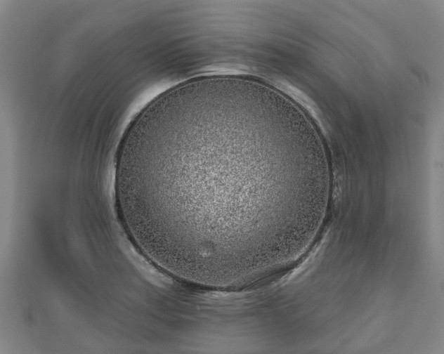 X0000110721179200906191500