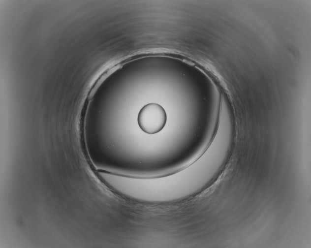 X0000110721181200906191500