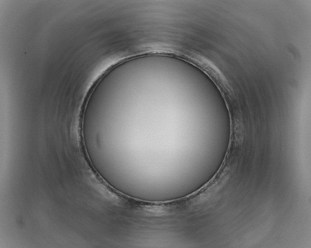 X0000110721182200906191459