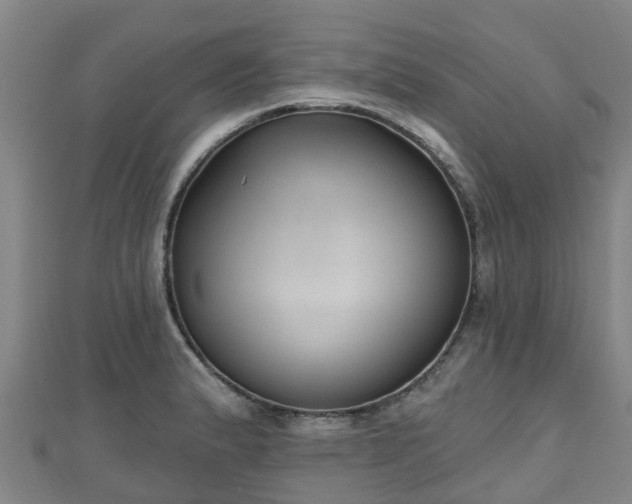 X0000110721183200906191459