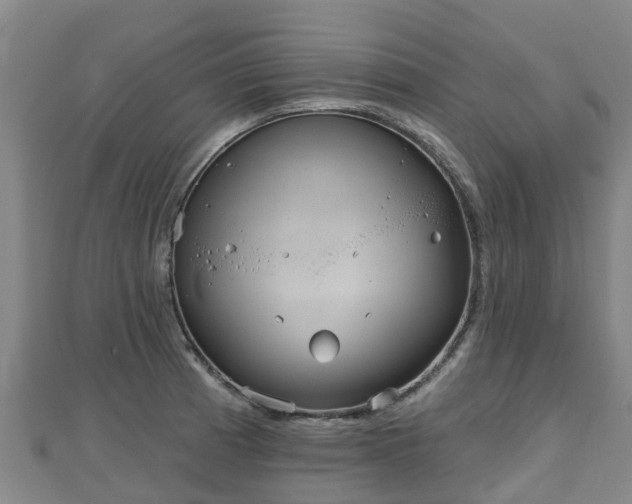 X0000110721185200906191459