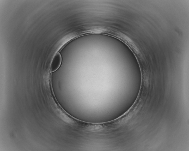 X0000110721186200906191459