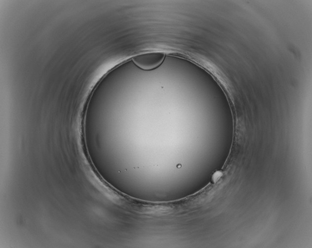 X0000110721187200906191459