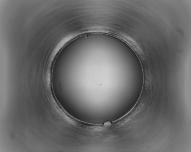 X0000110721188200906191459