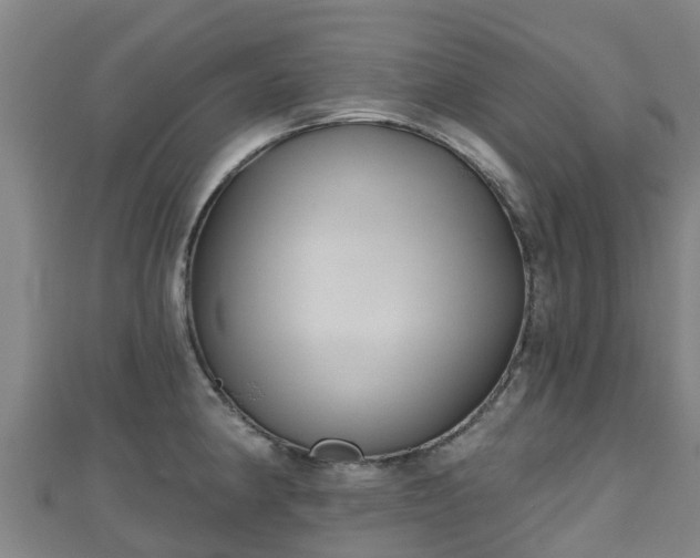 X0000110721190200906191459
