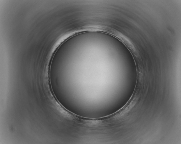 X0000110721192200906191459