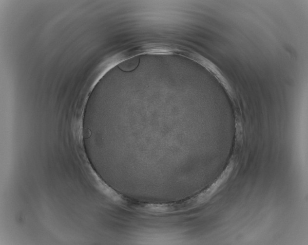 X0000110721194200906191459