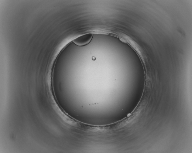 X0000110721195200906191459