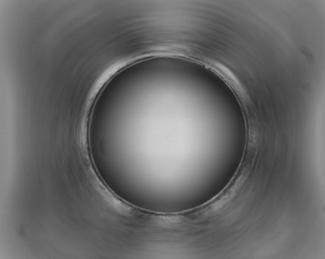 X0000110721196200906191459