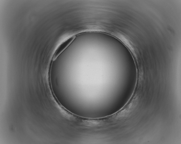 X0000110721197200906191459