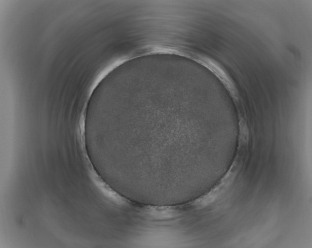 X0000110721198200906191459