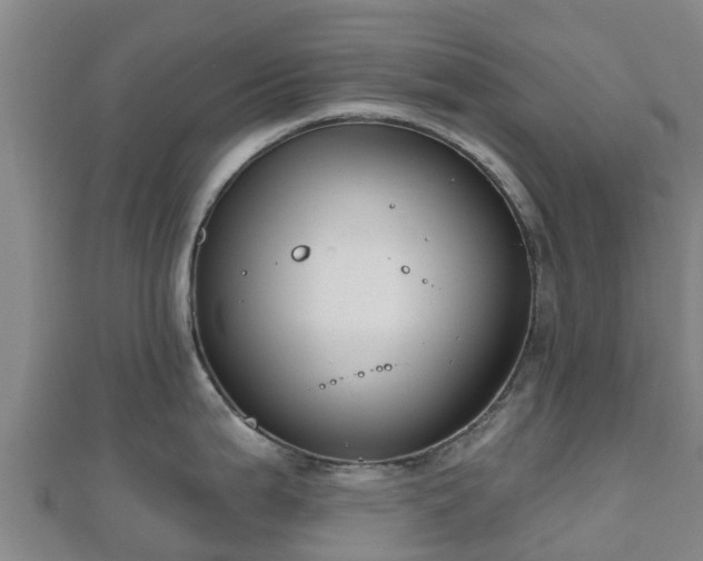 X0000110721199200906191459