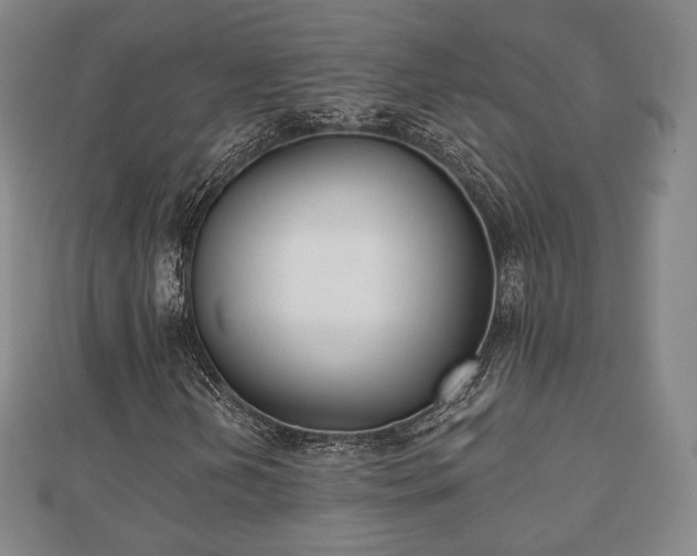 X0000110721202200906191458