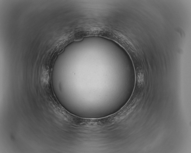 X0000110721204200906191459