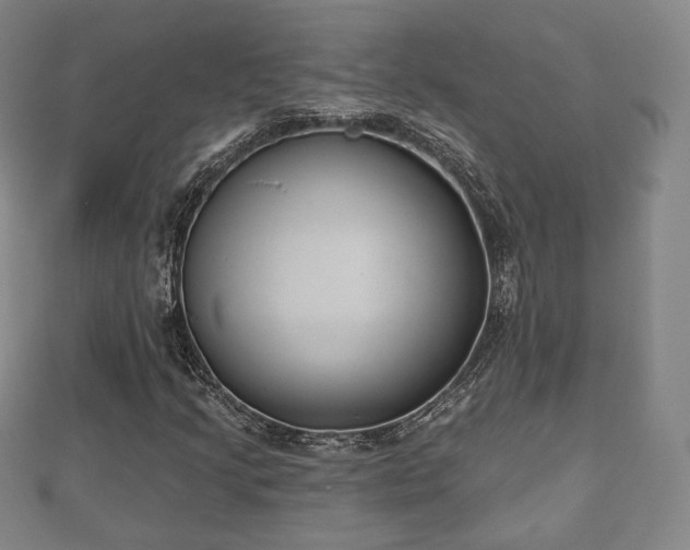 X0000110721205200906191459