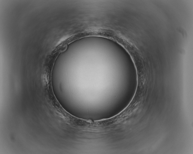 X0000110721206200906191459