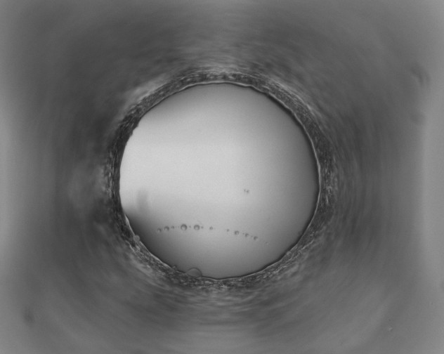 X0000110721207200906191459