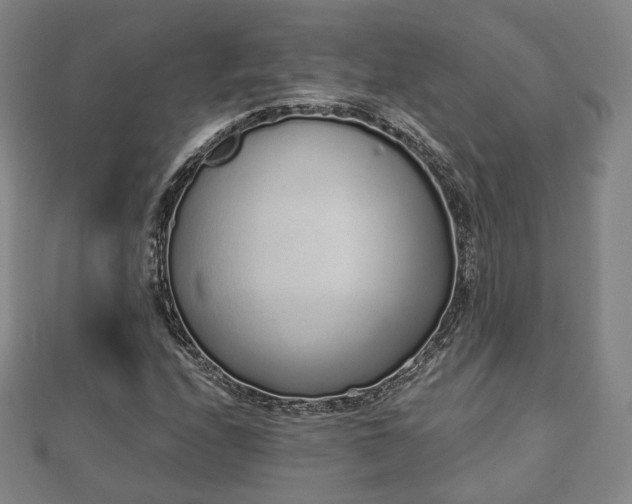 X0000110721208200906191459