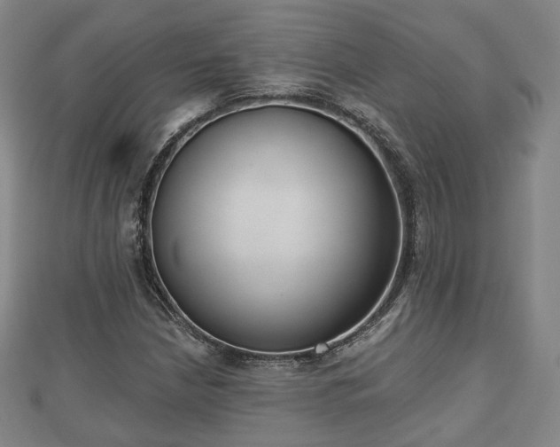 X0000110721210200906191459