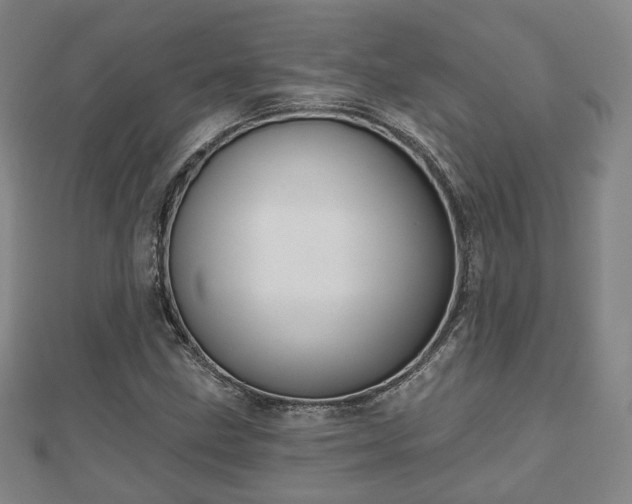 X0000110721211200906191459