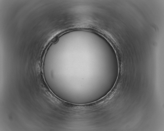 X0000110721212200906191459
